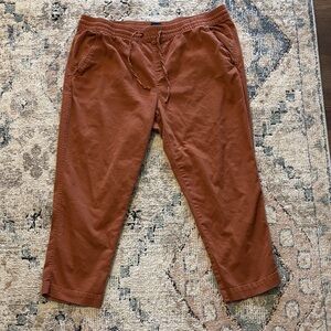 Gap Women's Rust Pull On Pants